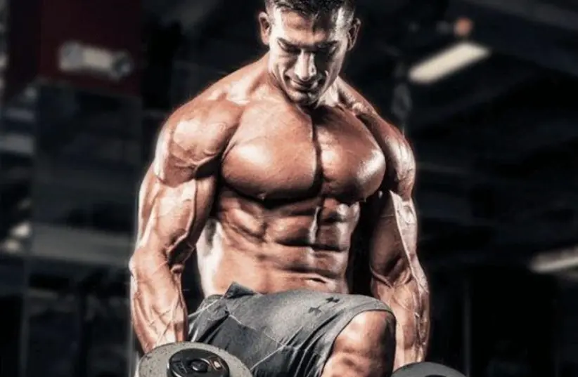 The mk677 Is An Affordable Way To Naturally Gain Muscle Mass